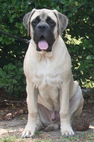 Jackson at 7mos